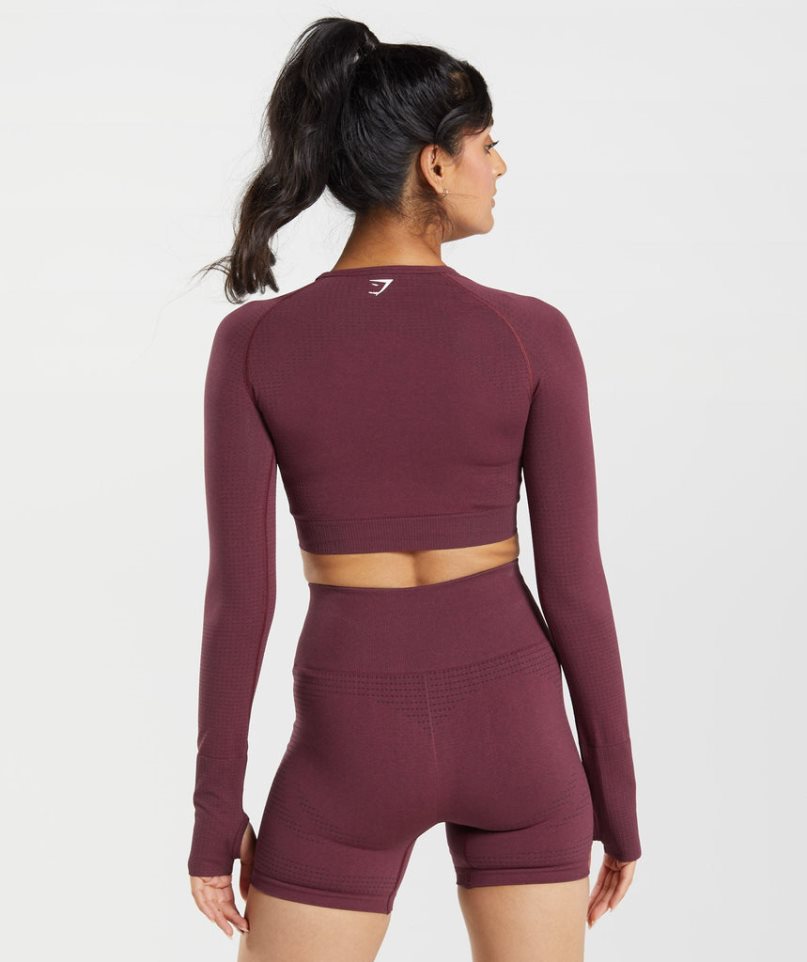 Women's Gymshark Vital Seamless 2.0 Cropped Tops Burgundy | NZ 7XPLOJ